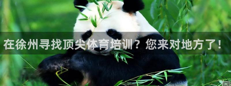 耀世娛樂出款快嗎是真的嗎：在徐州尋找頂尖體育培訓(xùn)？您