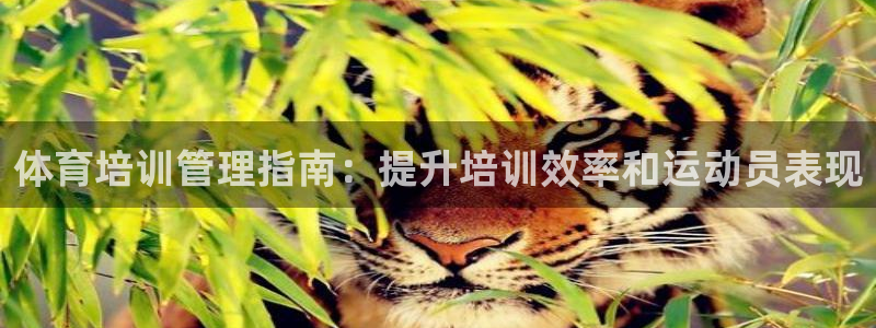 耀世娛樂(lè)掛機(jī)賺錢嗎：體育培訓(xùn)管理指南：提升培訓(xùn)效率和