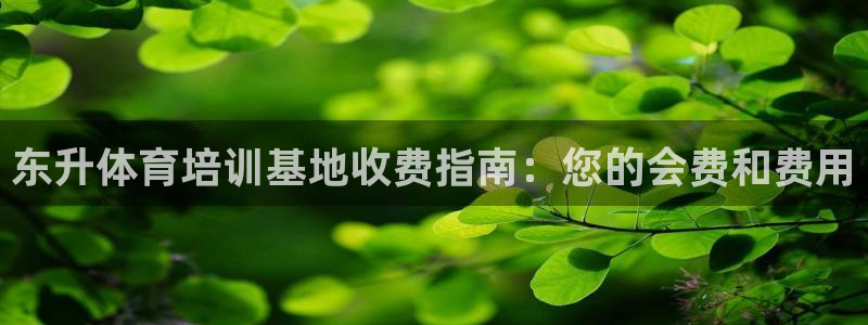 耀世登場的圖片：東升體育培訓(xùn)基地收費(fèi)指南：您的會(huì)費(fèi)和