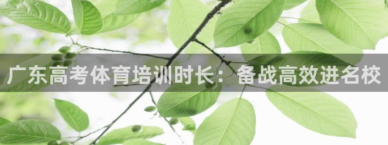 耀世平臺注冊流程