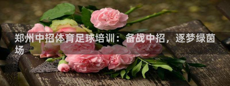 耀世娛樂含山縣：鄭州中招體育足球培訓(xùn)：備戰(zhàn)中招，逐夢