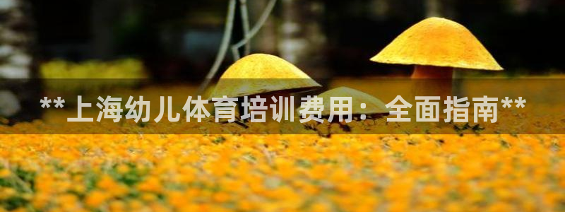 耀世盛典官網(wǎng)入口：**上海幼兒體育培訓(xùn)費(fèi)用：全面指南