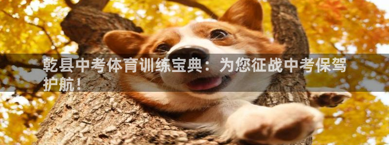 耀世集團(tuán)小說：乾縣中考體育訓(xùn)練寶典：為您征戰(zhàn)中考保駕
