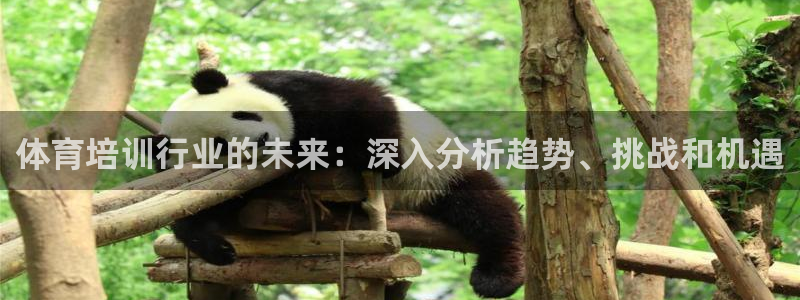 耀世娛樂(lè)平臺(tái)官網(wǎng)下載：體育培訓(xùn)行業(yè)的未來(lái)：深入分析趨