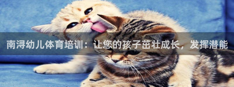 耀世娛樂安全嗎知乎：南潯幼兒體育培訓(xùn)：讓您的孩子茁壯