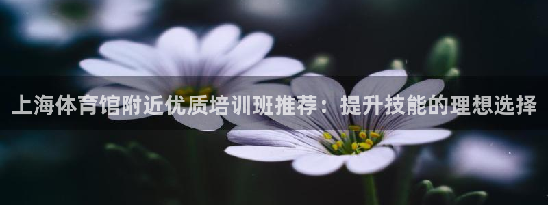 耀世集團(tuán)視頻直播怎么樣：上海體育館附近優(yōu)質(zhì)培訓(xùn)班推薦