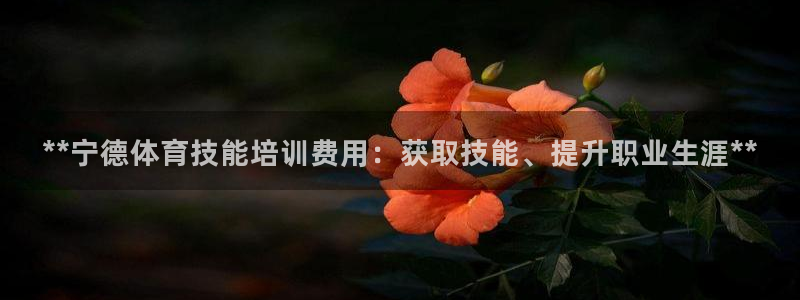 耀世娛樂是不是很黑暗：**寧德體育技能培訓(xùn)費(fèi)用：獲取