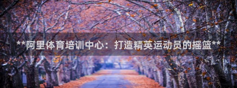 耀世國際集團(tuán)是國企嗎還是私企：**阿里體育培訓(xùn)中心：