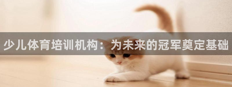 六星耀世什么意思：少兒體育培訓(xùn)機構(gòu)：為未來的冠軍奠定