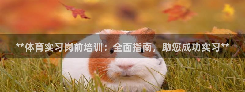 耀世雷霆官方版：**體育實習崗前培訓(xùn)：全面指南，助您