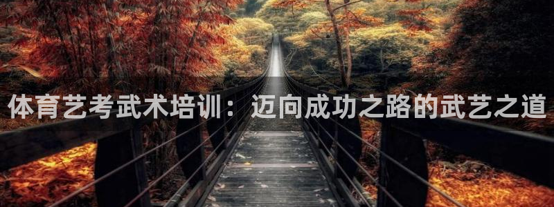 耀世娛樂幾年了?：體育藝考武術(shù)培訓(xùn)：邁向成功之路的武