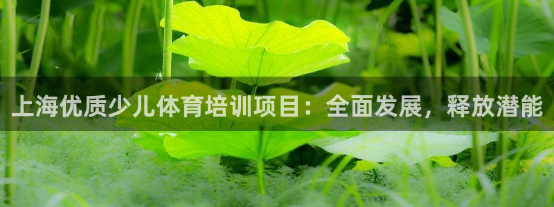 耀世平臺話7O777：上海優(yōu)質(zhì)少兒體育培訓(xùn)項目：全面