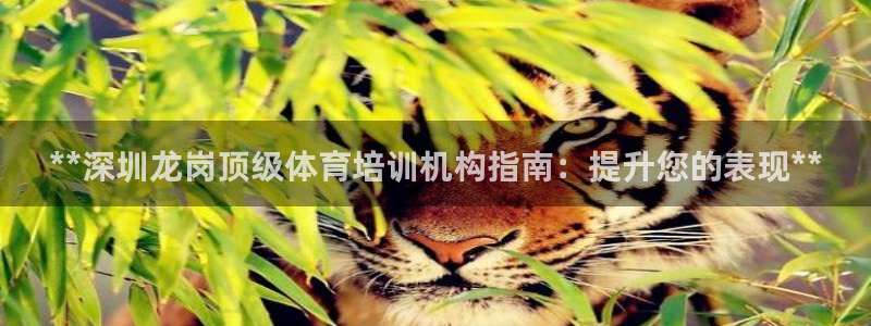 耀世意思是什么：**深圳龍崗頂級體育培訓(xùn)機構(gòu)指南：提