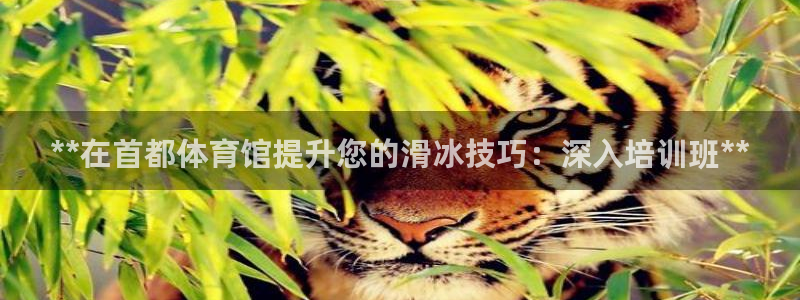 耀世娛樂能不能提現(xiàn)到微信：**在首都體育館提升您的滑
