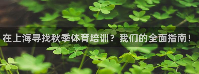 耀世傳說：在上海尋找秋季體育培訓(xùn)？我們的全面指南！