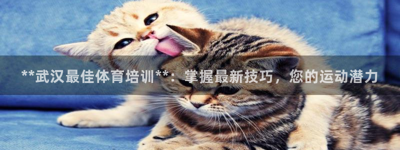 耀世平臺非 41IO31 耀世：**武漢最佳體育培訓(xùn)