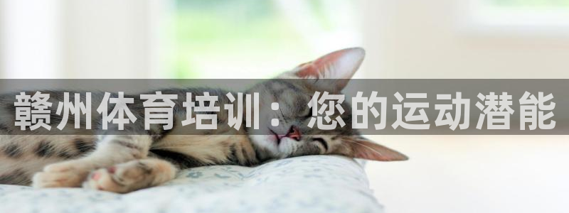 耀世娛樂提現(xiàn)失敗怎么辦：贛州體育培訓(xùn)：您的運(yùn)動潛能