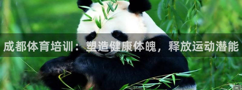 耀世娛樂如何登錄平臺：成都體育培訓(xùn)：塑造健康體魄，釋
