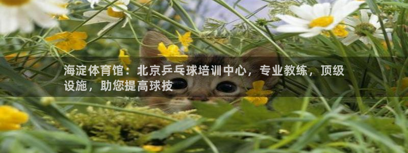 耀世娛樂下載鏈接安裝包：海淀體育館：北京乒乓球培訓(xùn)中