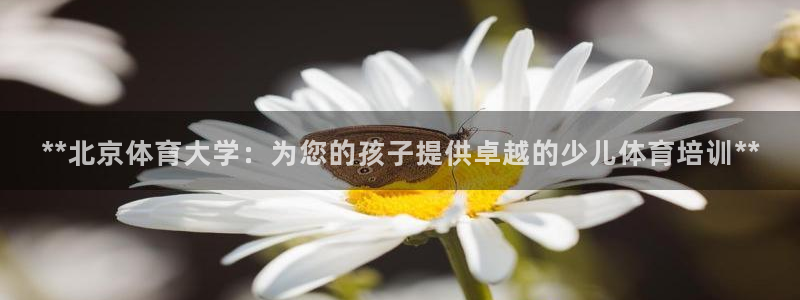 耀世而出：**北京體育大學：為您的孩子提供卓越的少兒