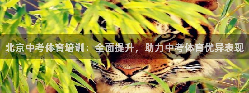 耀世娛樂(lè )平臺注冊登錄不了