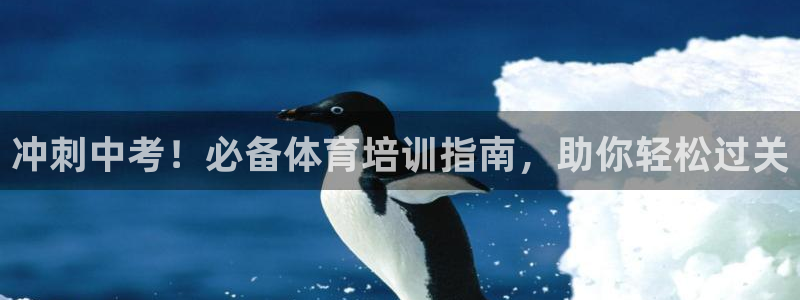 耀世首開什么意思：沖刺中考！必備體育培訓(xùn)指南，助你輕