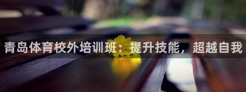 六星耀世什么意思：青島體育校外培訓(xùn)班：提升技能，超越