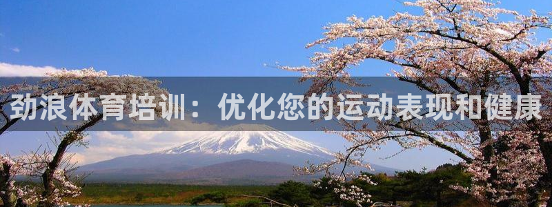 耀世挑戰(zhàn)第3關(guān)怎么過：勁浪體育培訓(xùn)：優(yōu)化您的運(yùn)動(dòng)表現(xiàn)