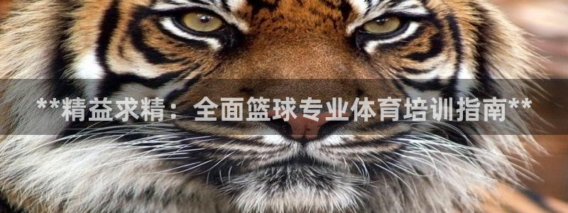 耀世平臺物7O777：**精益求精：全面籃球?qū)I(yè)體育