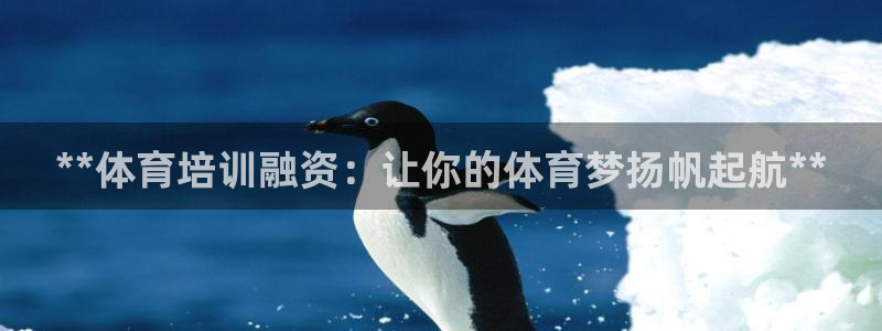 耀世娛樂怎么注冊不了：**體育培訓融資：讓你的體育夢