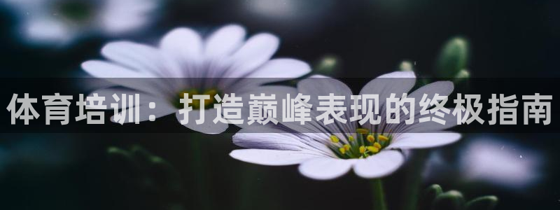 耀世平臺有很多登錄地址怎么回事：體育培訓：打造巔峰表
