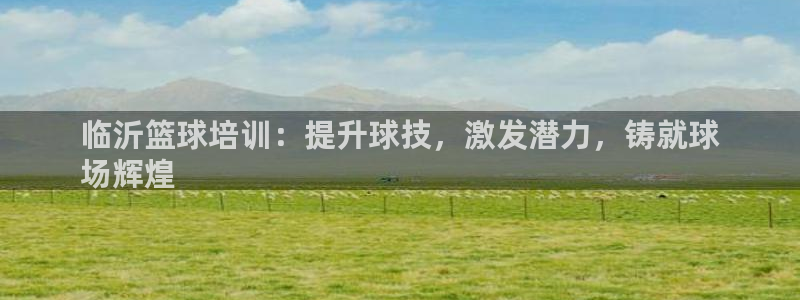 耀世平臺app下載安裝：臨沂籃球培訓：提升球技，激發(fā)