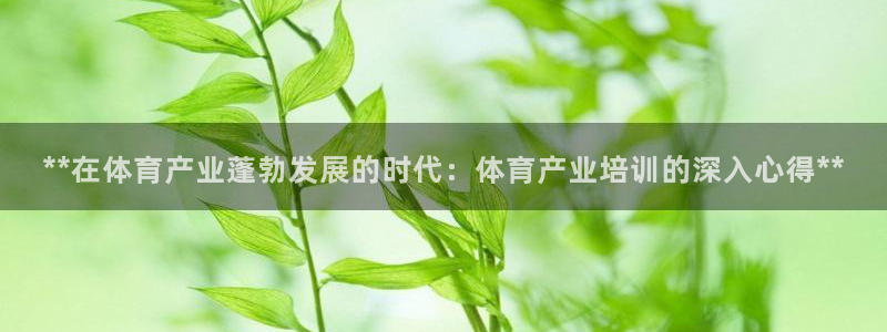 耀世平臺(tái)最新注冊(cè)地址在哪看：**在體育產(chǎn)業(yè)蓬勃發(fā)展的