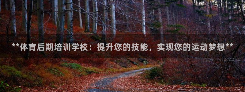 耀世娛樂贏咖APP：**體育后期培訓(xùn)學(xué)校：提升您的技