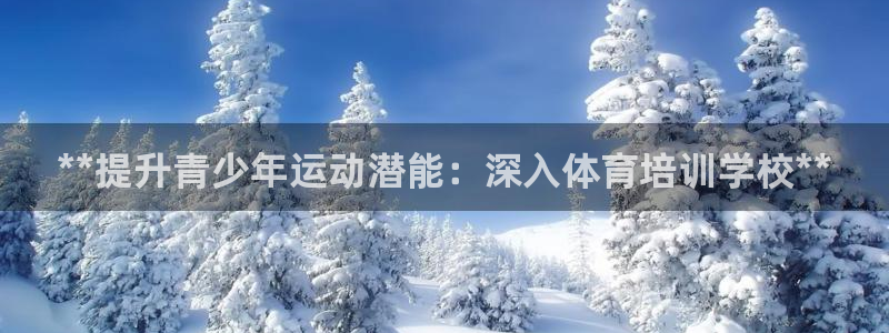耀世娛樂掛機軟件：**提升青少年運動潛能：深入體育培