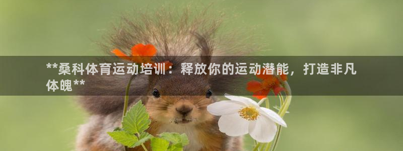 耀世娛樂腳本下載安裝：**?？企w育運動培訓(xùn)：釋放你的
