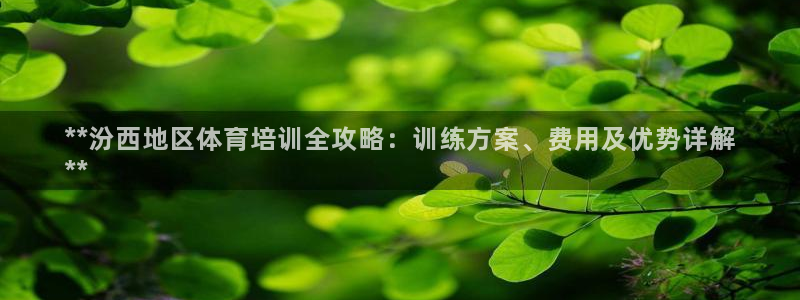 耀世娛樂(lè)掛機(jī)：**汾西地區(qū)體育培訓(xùn)全攻略：訓(xùn)練方案、