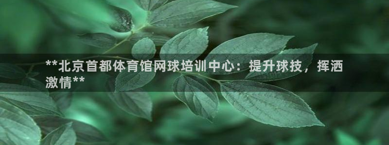 耀世娛樂在線登錄官網(wǎng)入口下載：**北京首都體育館網(wǎng)球