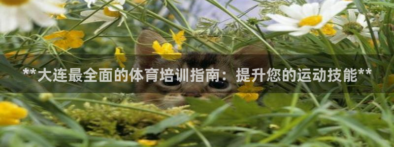 耀世娛樂六7O777：**大連最全面的體育培訓(xùn)指南：