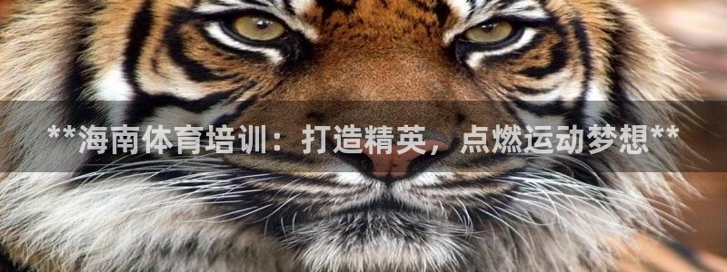 耀世平臺(tái)注冊(cè)最新地址查詢：**海南體育培訓(xùn)：打造精英