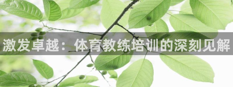 耀世娛樂注冊(cè)官網(wǎng)賬號(hào)：激發(fā)卓越：體育教練培訓(xùn)的深刻見
