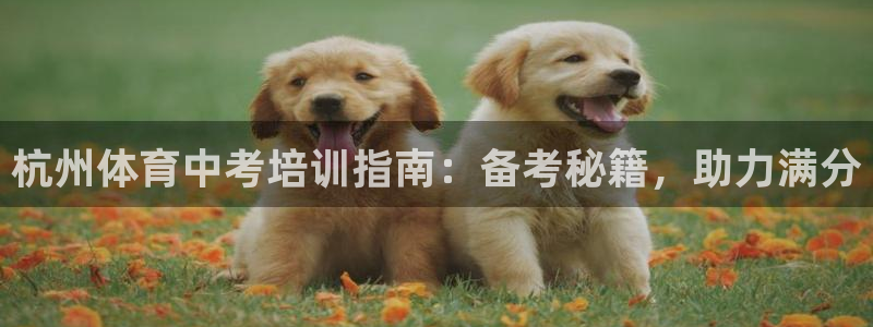 耀世集團(tuán)商業(yè)聯(lián)盟怎么樣：杭州體育中考培訓(xùn)指南：備考秘