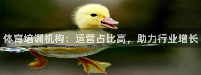 耀世令有什么用：體育培訓(xùn)機(jī)構(gòu)：運(yùn)營(yíng)占比高，助力行業(yè)增