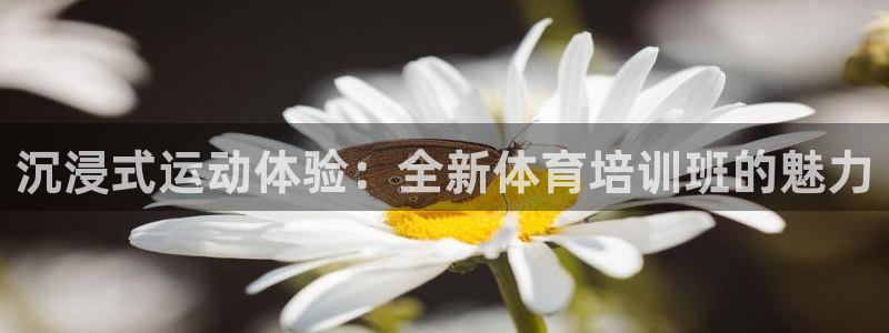 耀世娛樂掛機腳本怎么用：沉浸式運動體驗：全新體育培訓(xùn)