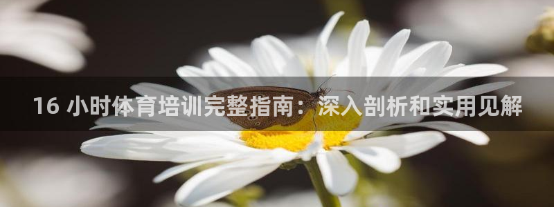 耀世娛樂平臺注冊地址在哪里看：16 小時體育培訓(xùn)完整