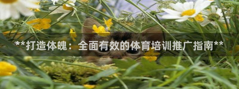 耀世平臺話7O777：**打造體魄：全面有效的體育培