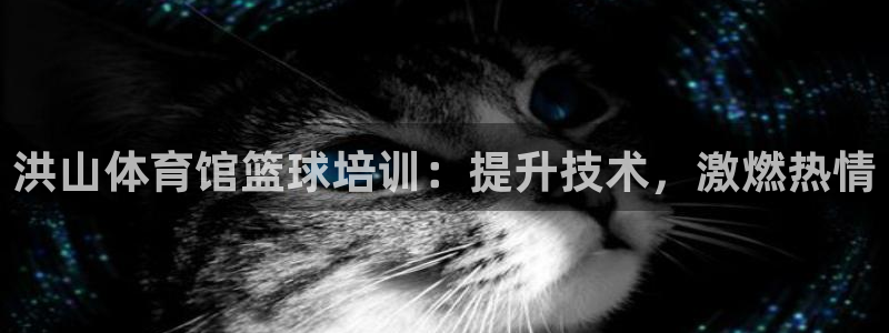 耀世平臺(tái)招商怎么樣：洪山體育館籃球培訓(xùn)：提升技術(shù)，激