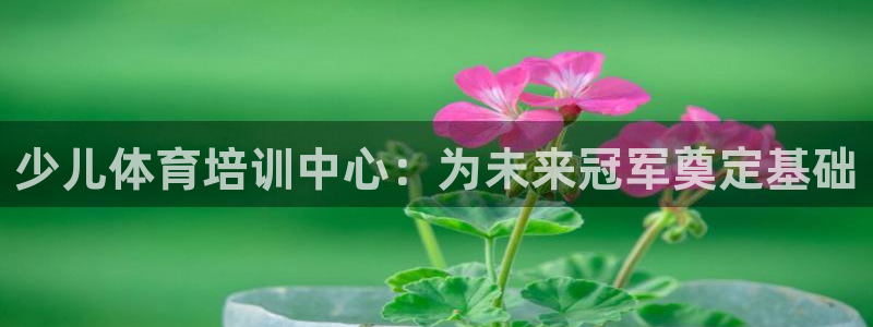 耀世娛樂官網(wǎng)注冊(cè)流程