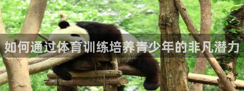 耀世娛樂注冊(cè)等7O777：如何通過(guò)體育訓(xùn)練培養(yǎng)青少年
