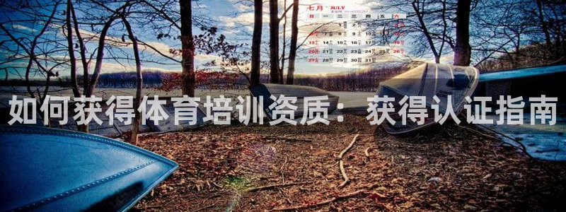 耀世璀璨：如何獲得體育培訓資質：獲得認證指南